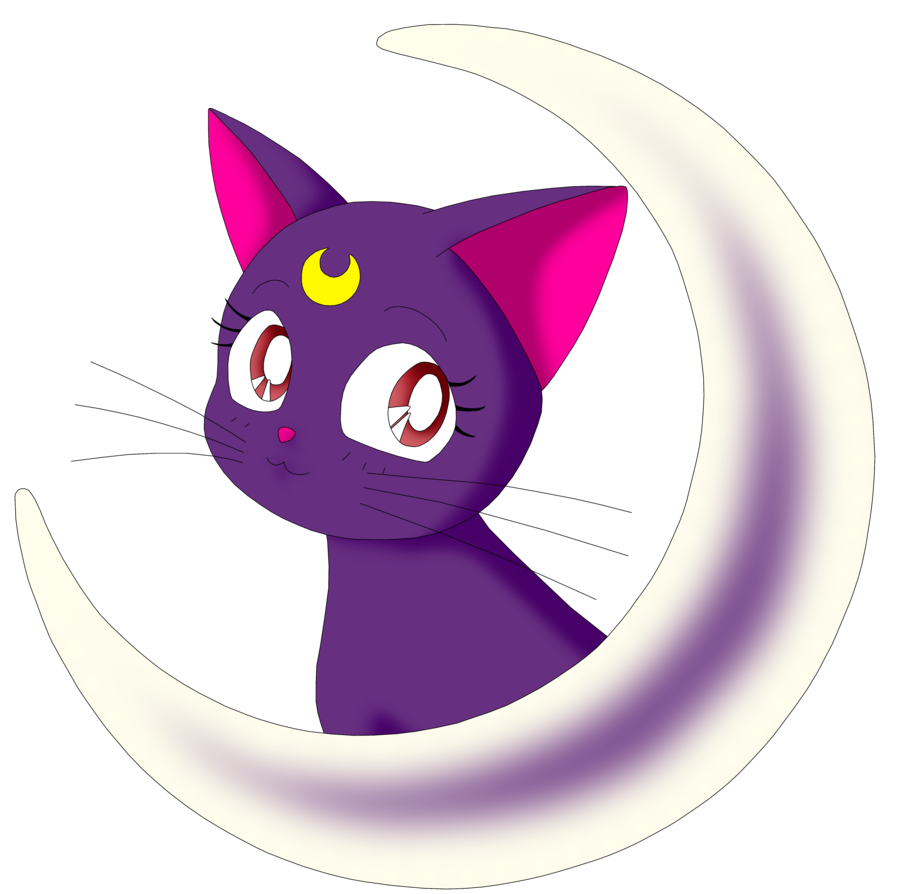 Кошка муна. Sailor Moon Луна кошка. Кошка Луна из сейлормун. Кошка Луна из Сейлор Мун.