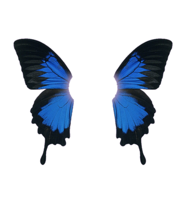 freetoedit wings butt butterfly sticker by @simonevdw