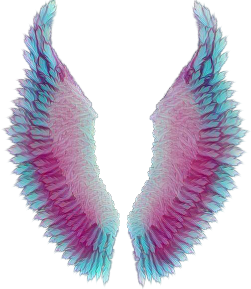 wings blue purple pink cute sticker by @callmetwentythree